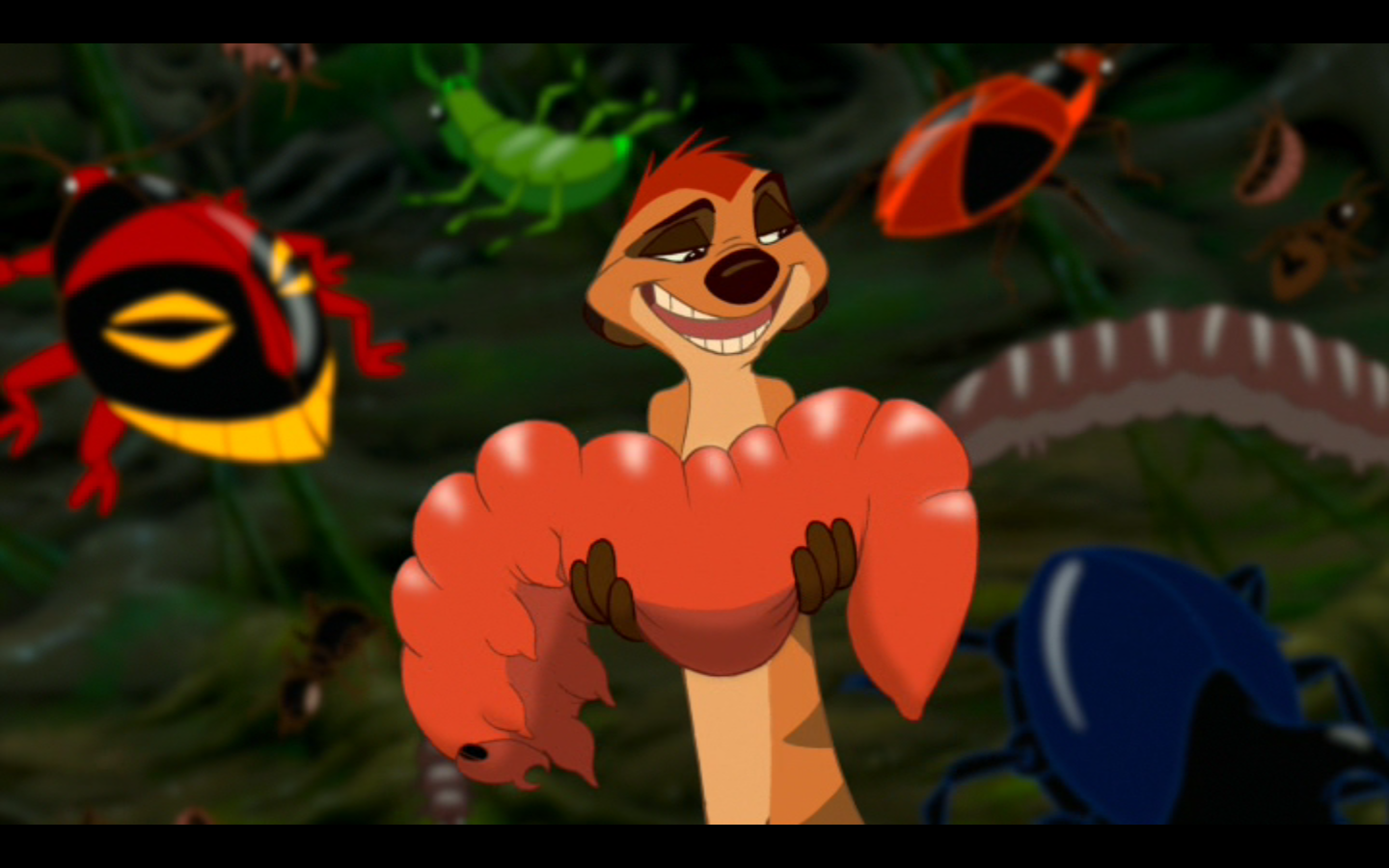 The-lion-king-grub