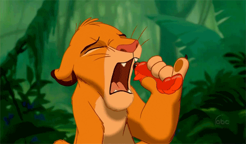 lion-king-grubs-2