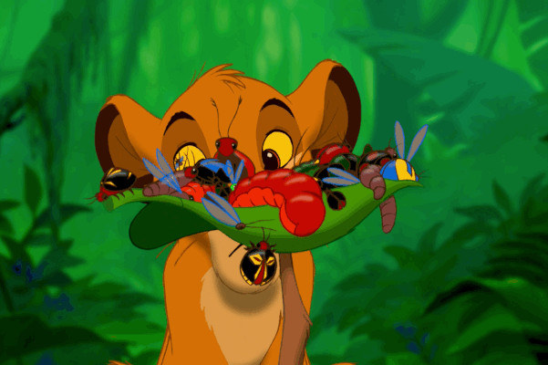 lion-king-grubs-4