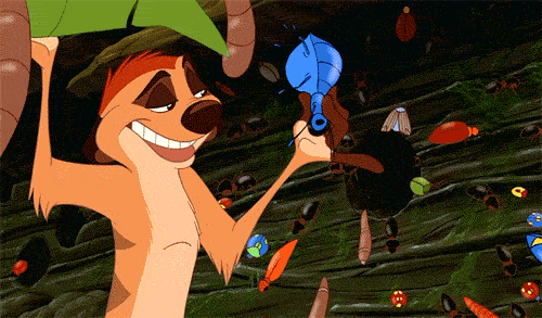 lion-king-grubs-5